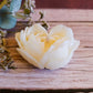 Candela Rosa cuore