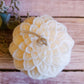 Sfera Dalia