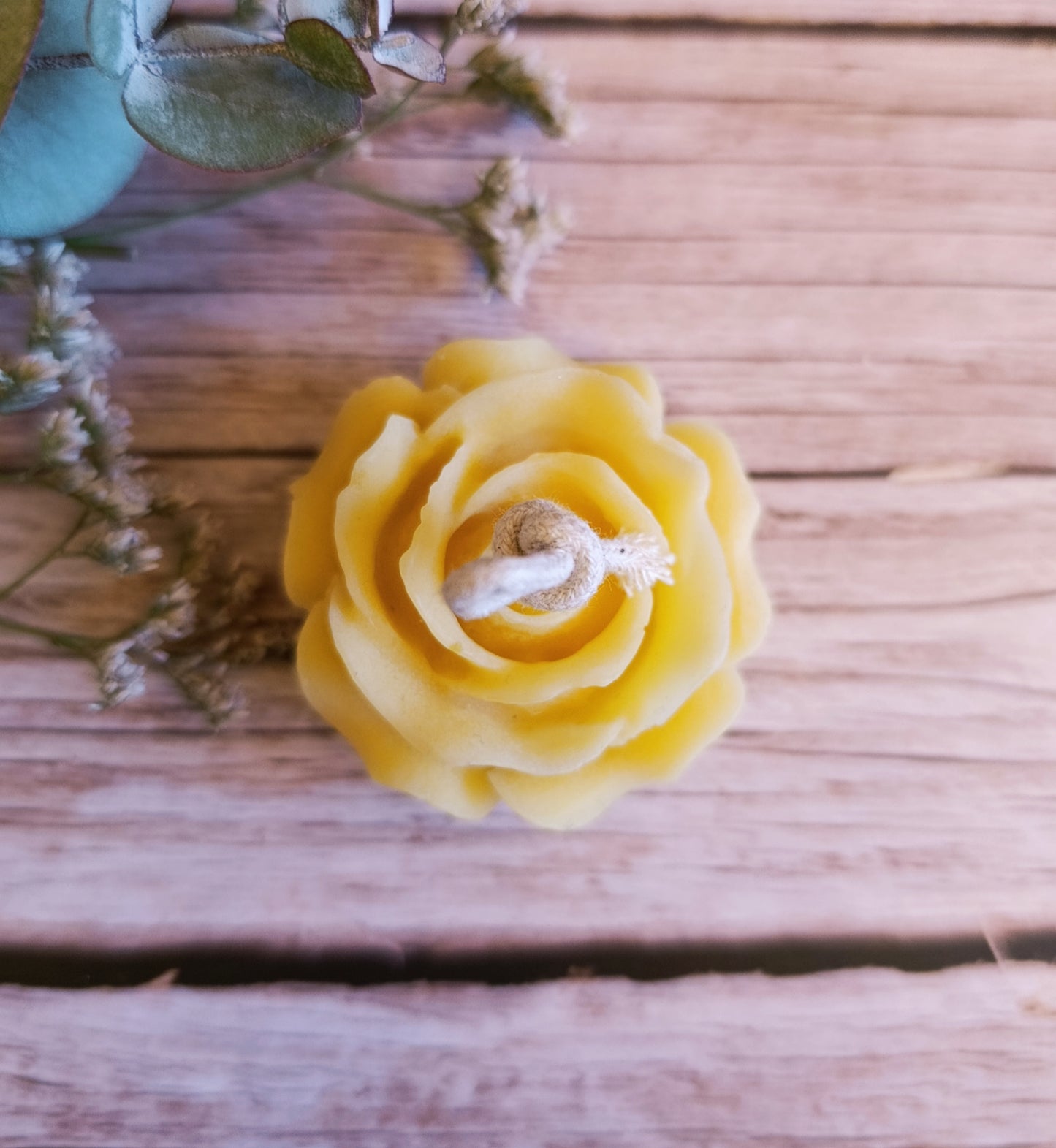 Candela Rosa piccola