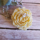 Peonia grande