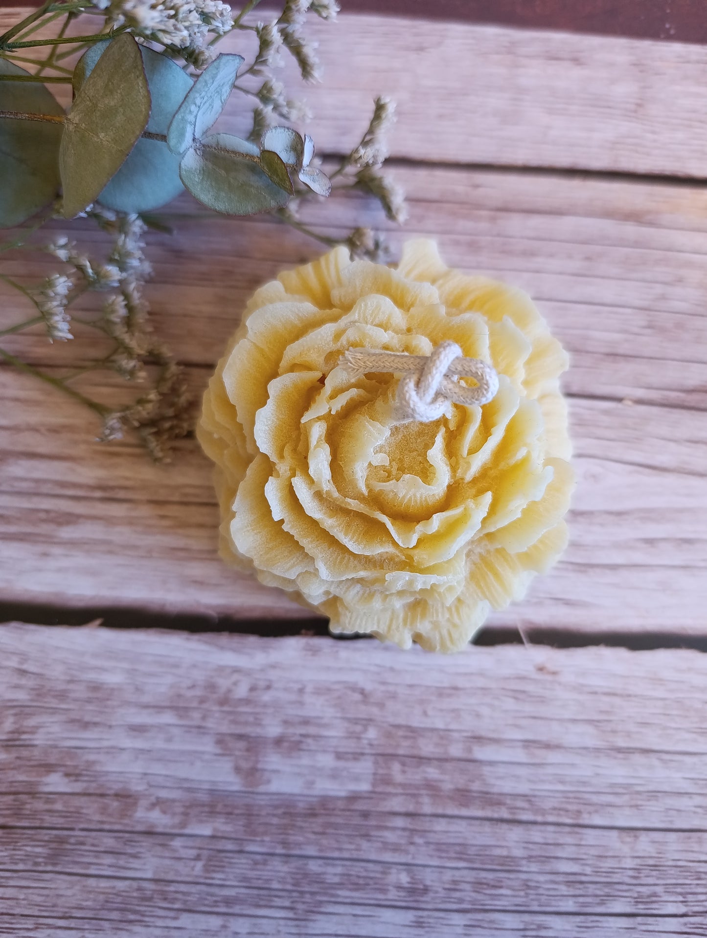 Peonia grande